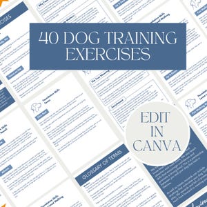 Dog Training Business Templates for Dog Trainers & Behaviourists Business Templates for Pet Business Download Edit in Canva
