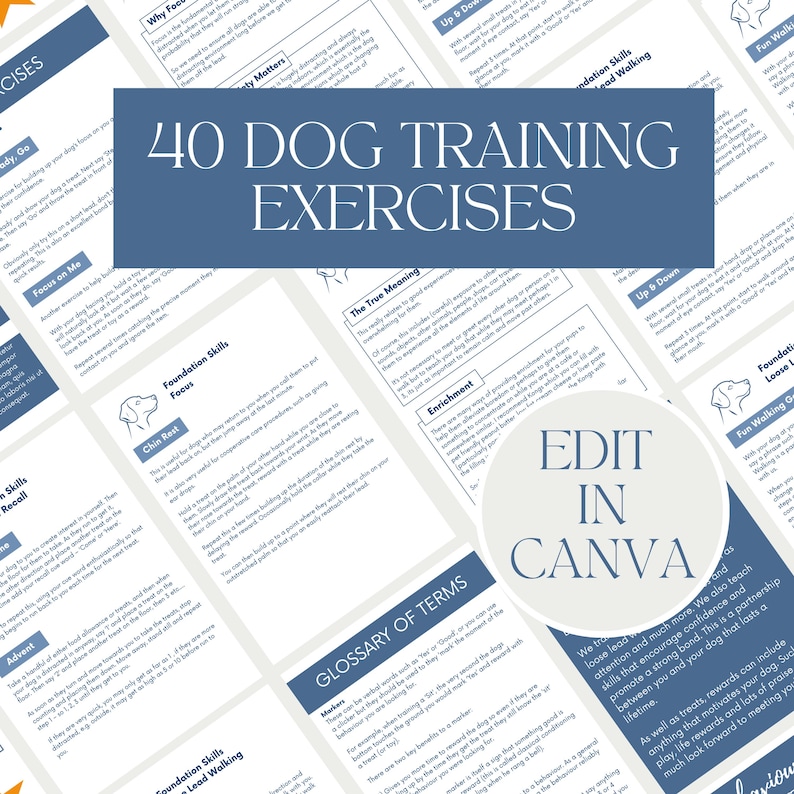 Dog Training Business Templates for Dog Trainers & Behaviourists Business Templates for Pet Business Download Edit in Canva