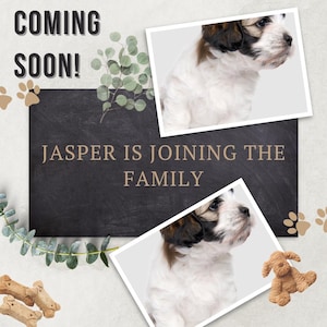 New Puppy Announcement Digital  Template Instant Download  Announce New Puppy in the family Social Media Instagram Instant Downloads