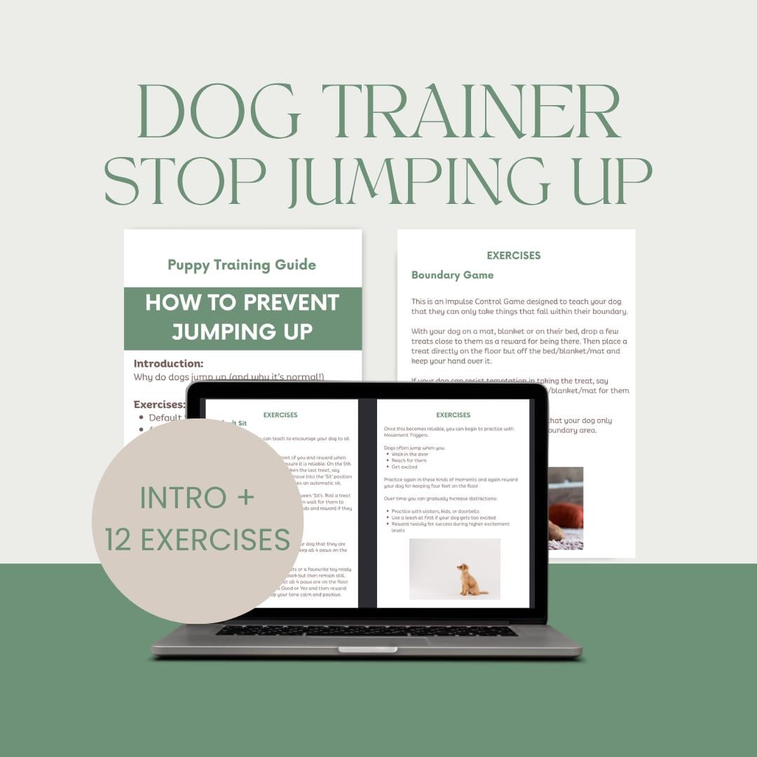 Puppy Training Guide: Stop Jumping, Positive Reinforcement (PDF
