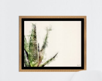 Acuarela de plantas de aloe