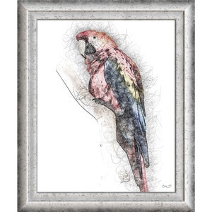 Scribble Sketch McCaw
