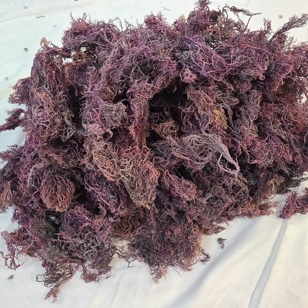 Indian Ocean Harvested Raw Purple Sea Moss - Options include 1, 2, 4, 8, or 16 oz