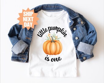 Little Pumpkin Is One Shirt, 1st Birthday Shirt, Fall 1st Birthday Shirt, Fall Birthday Shirt, Toddler Birthday Shirt, Toddler Pumpkin Shirt