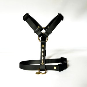 Adjustable dog harness made of Biothane | with pearls | waterproof | with quick release | stylish