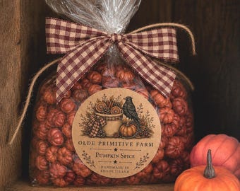 Mini Putka Pumpkins Primitive Fall Decor | Scented or Unscented Dried Potpourri Bowl Filler