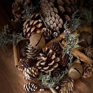 Rustic Forest Potpourri, Country, Earthy, Woodland , Gift Ready, Winter