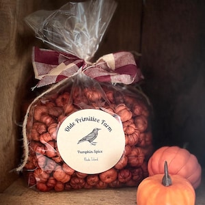 Mini Putka Pumpkins-Primitive Decor-Fall-Potpourri-Scented or Unscented
