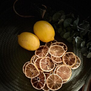 May include: Two bright yellow lemons and a collection of dried lemon slices on a textured green surface. The dried slices are brown and show internal segments. Green foliage is in the background, creating a natural, rustic aesthetic.