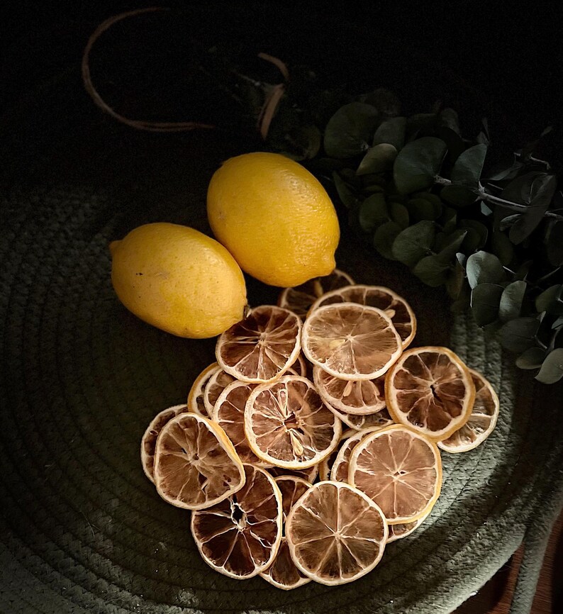 May include: Two bright yellow lemons and a collection of dried lemon slices on a textured green surface. The dried slices are brown and show internal segments. Green foliage is in the background, creating a natural, rustic aesthetic.