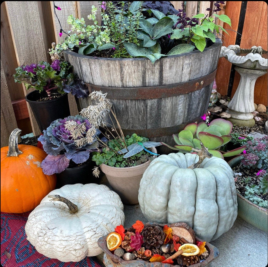 Fall Potpourri|Fall Bowl Filler|Primitive|Country Decor|Fall Harvest|Autumn Decor - Thumbnail 3