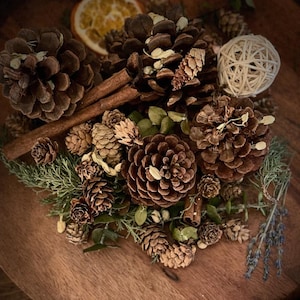 Jasmine & Juniper Rustic Potpourri|Farmhouse Bowl Filler|Country Decor|Primitive