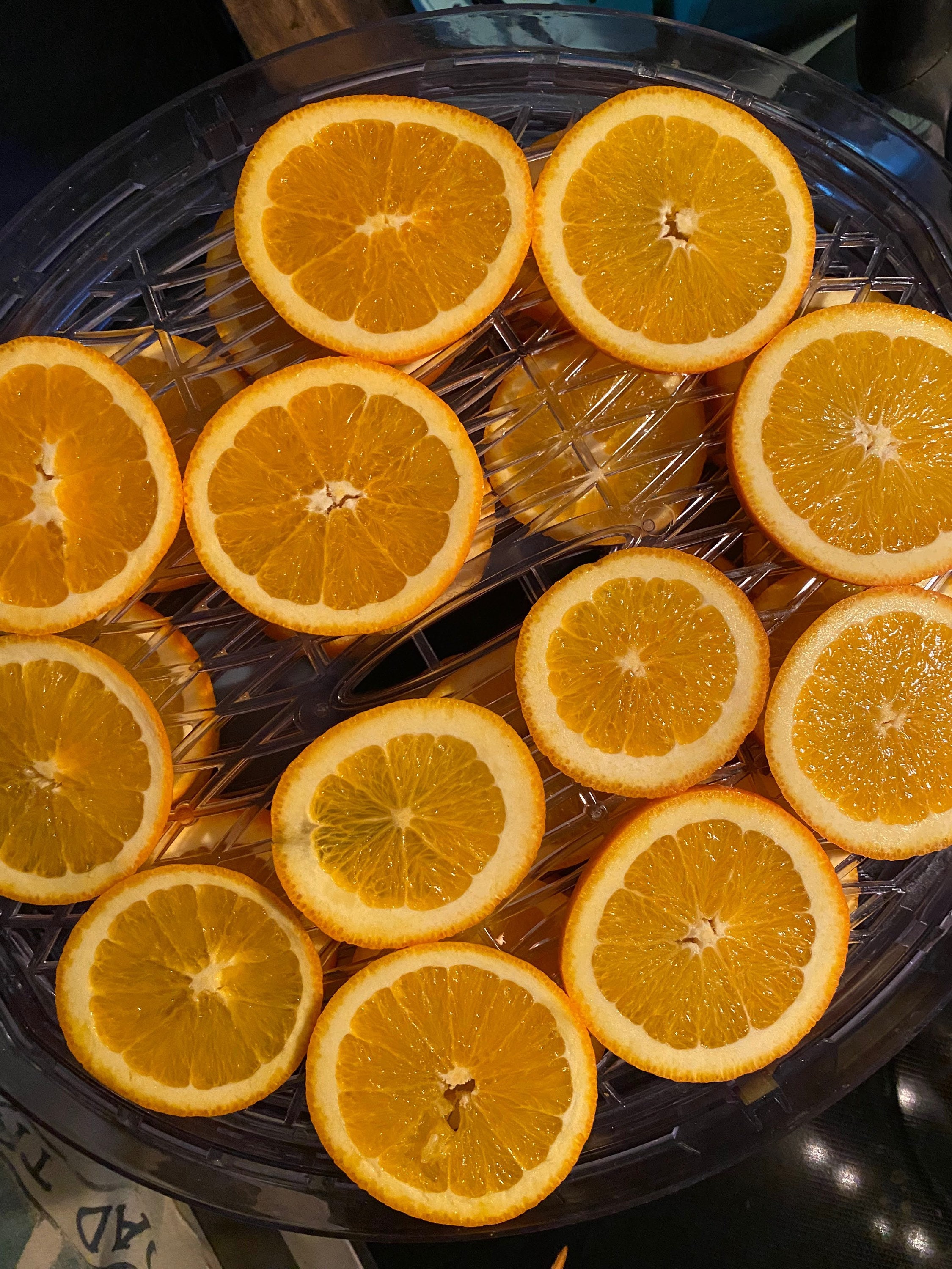 Dried Orange Slices-25 count-Potpourri-Primitive Decor-Vase Filler - Thumbnail 5