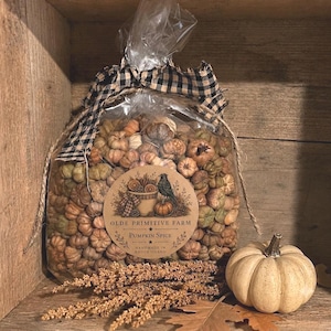 Mini Neutral Putka Pumpkins | Primitive Fall Decor | Scented or Unscented Rustic Bowl Filler