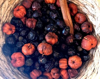 Rustic Fall Potpourri Mix, Putka Pumpkin Pods, Cinnamon, Rose Hips
