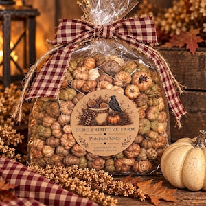 May include: A clear plastic bag filled with small decorative pumpkins in shades of green, brown, and orange. The bag is tied with a brown and white gingham ribbon and features a round label reading Olde Primitive Farm Pumpkin Spice.