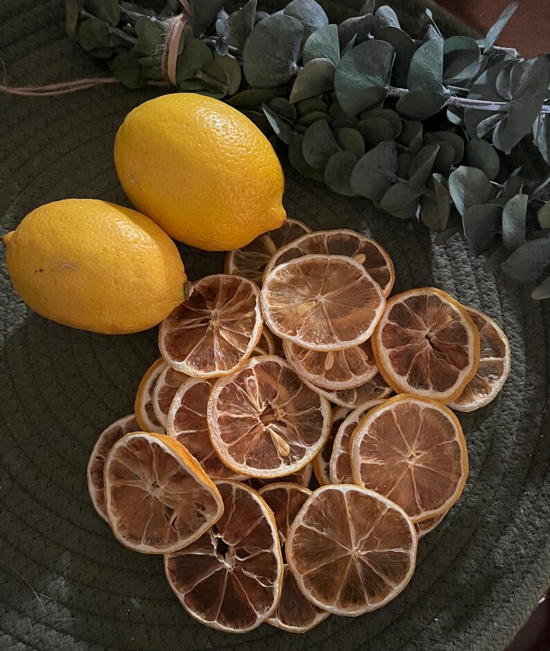 May include: Two fresh yellow lemons and a pile of dried lemon slices are arranged on a green textured surface. Eucalyptus leaves are in the background. The dried lemon slices have a brown, textured appearance.