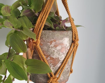 Mustard macrame plant hanger, modern plant hanger, macrame decor, plant accessories