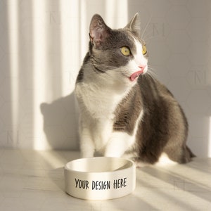 Cat Food Bowl Mockup, Pet Food Bowl Mockup, Ceramic Pet Bowl Mockup, White Pet Bowl Mockup, Dog Food Bowl Mockup, Blank Pet Food Bowl Mockup