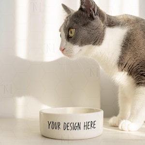 Pet Food Bowl Mockup, Ceramic Pet Bowl Mockup, Cat Water Bowl Mockup, White Pet Bowl Mockup, Dog Bowl Mockup, Blank Pet Food Bowl Mockup