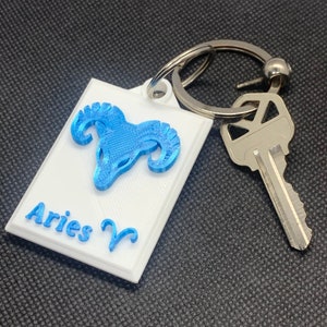 Zodiac Key Chain Accessory, Key Fob, Gift for Her, Gift for Him