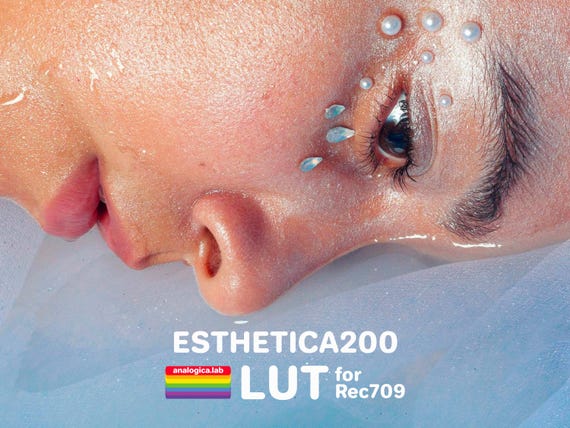 LUT ESTHETICA 200 35MM Film Simulation Professional Color Grading VideoLut PhotoLut filetype: .cube for Rec709 Film Emulation