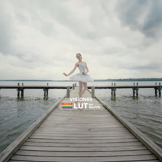 65MM VISION - Film Emulation LUT