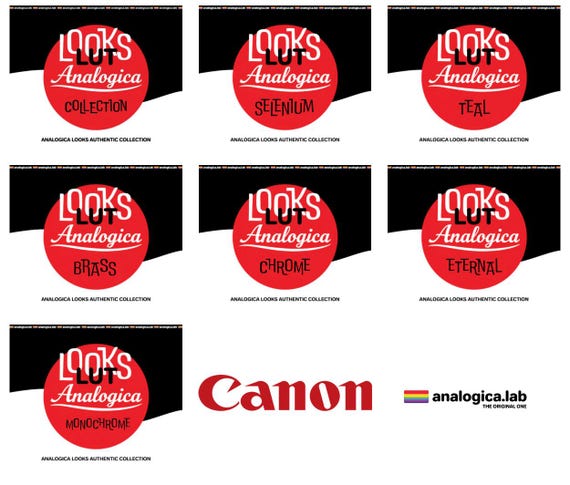AnalogicaLooks Collection - LUT for Canon Log3 - For Professional Filmmaking and Photography