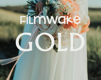 FilmWake GOLD DCTLe - DaVinci One Collection - DaVinci Resolve Studio
