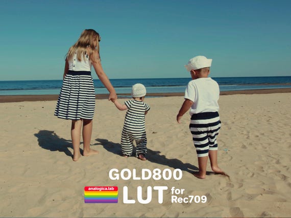 LUT GOLD800 35MM Film Simulation Professional Color Grading VideoLut PhotoLut filetype: .cube for Rec709 Film Emulation