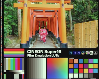 Super16 CINEON - Film Emulation LUTs for Rec709 - For Professional Filmmaking and Photography 