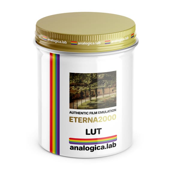LUT ETERNA 2000 16MM Film Simulation Professional Color Grading VideoLut PhotoLut filetype: .cube for Rec709 Film Emulation