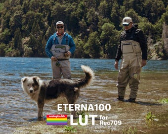 35MM ETERNA 100 - Film Emulation LUT - For Professional Filmmaking and Photography 
