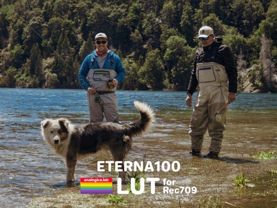 LUT ETERNA 100 35MM Film Simulation Professional Color Grading VideoLut PhotoLut filetype: .cube for Rec709 Film Emulation