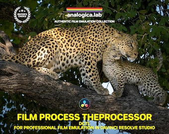 Film Process TheProcessor - DCTLe for Professional Film Emulation in DaVinci Resolve Studio by analogicalab