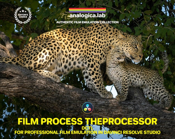 Film Process TheProcessor - DCTLe for Professional Film Emulation in DaVinci Resolve Studio by analogicalab