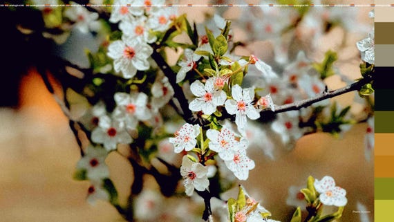 GOLD 400 - Film Emulation LUT - For Professional Filmmaking and Photography 