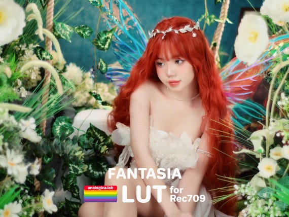 LUT FANTASIA Film Simulation Professional Color Grading VideoLut PhotoLut filetype: .cube for Rec709 Film Emulation
