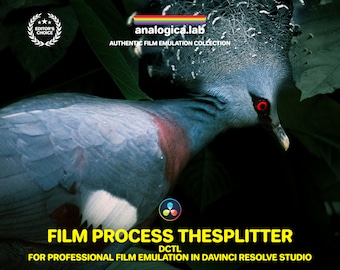 Film Process TheSplitter - Powerful DCTL for Professional Film Emulation in DaVinci Resolve Studio by analogicalab