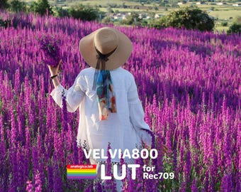 VELVIA 800- Film Emulation LUT - For Professional Filmmaking and Photography 