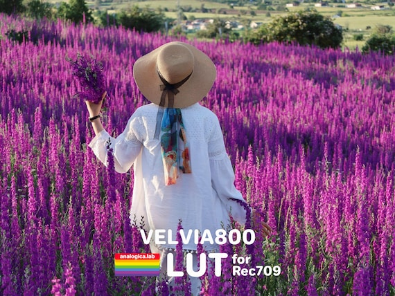 LUT VELVIA 800 35MM Film Simulation Professional Color Grading VideoLut PhotoLut filetype: .cube for Rec709 Film Emulation