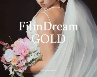 FilmDream GOLD DCTLe - DaVinci One Collection - DaVinci Resolve Studio