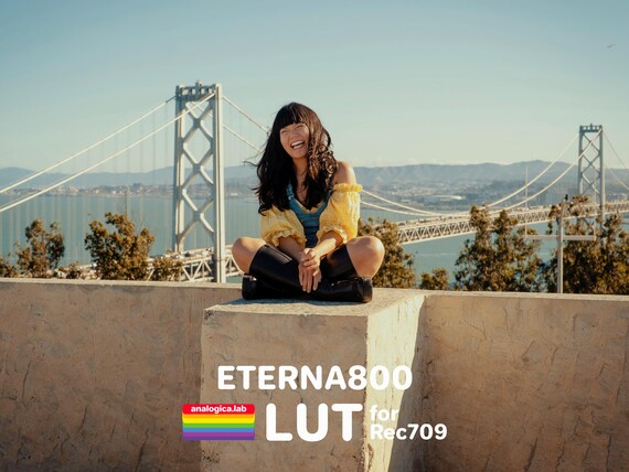 LUT ETERNA 800 35MM Film Simulation Professional Color Grading VideoLut PhotoLut filetype: .cube for Rec709 Film Emulation