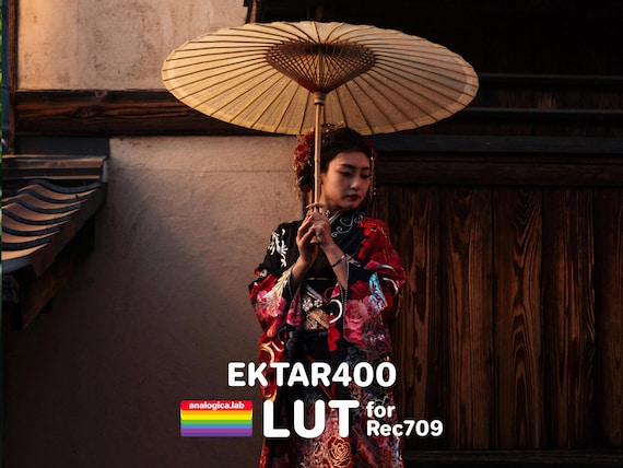 LUT EKTAR 400 35MM Film Simulation Professional Color Grading VideoLut PhotoLut filetype: .cube for Rec709 Film Emulation
