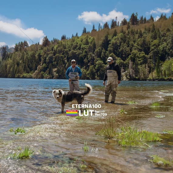 35MM ETERNA 100 - Film Emulation LUT