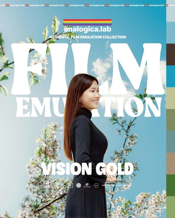 VISION GOLD - Film Emulation LUT for Rec709 - For Professional Filmmaking and Photography