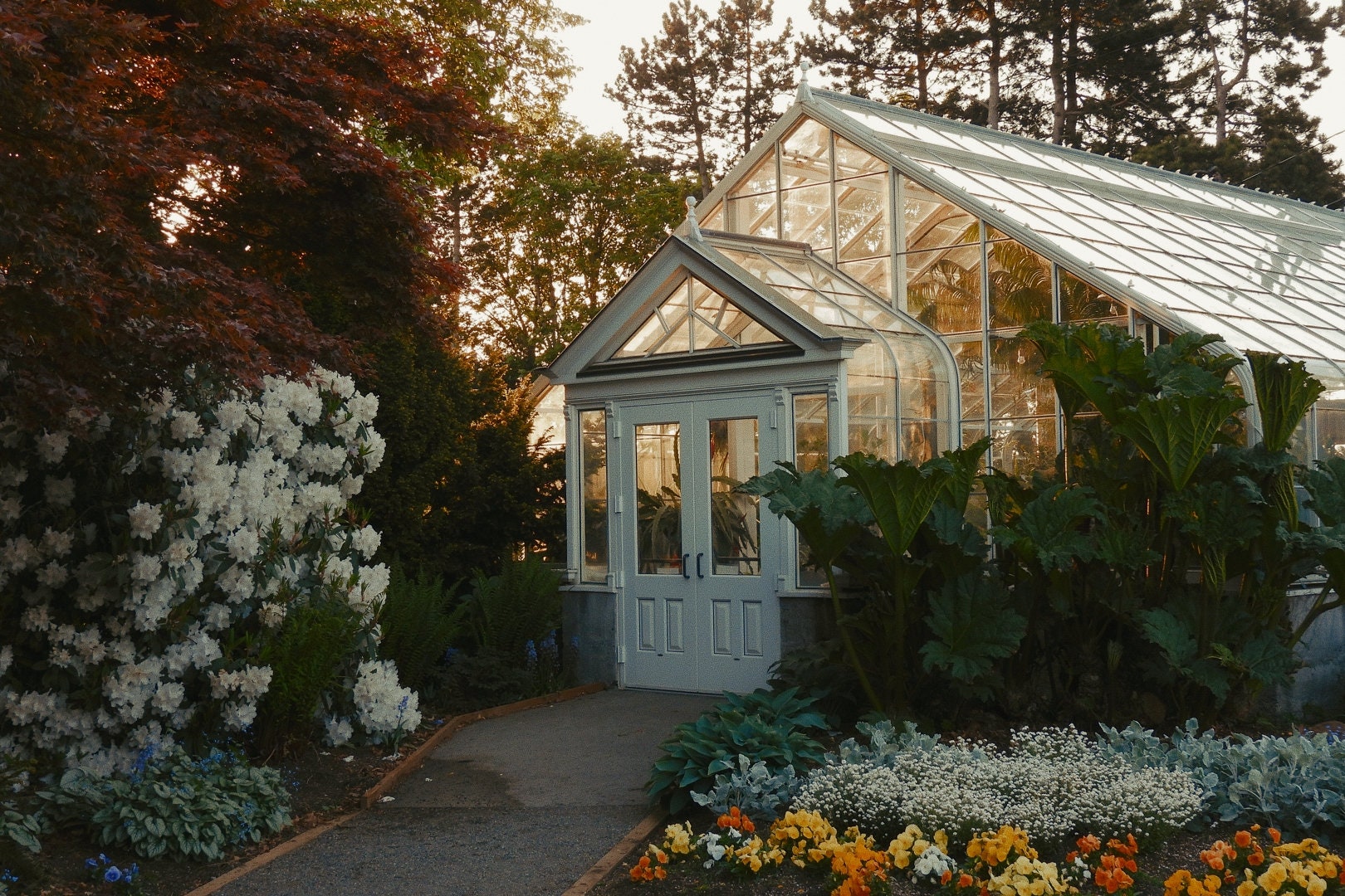 gallery photo