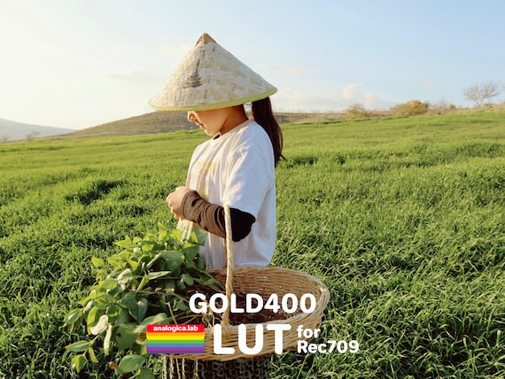 LUT GOLD 400 35MM Film Simulation Professional Color Grading VideoLut PhotoLut filetype: .cube for Rec709 Film Emulation