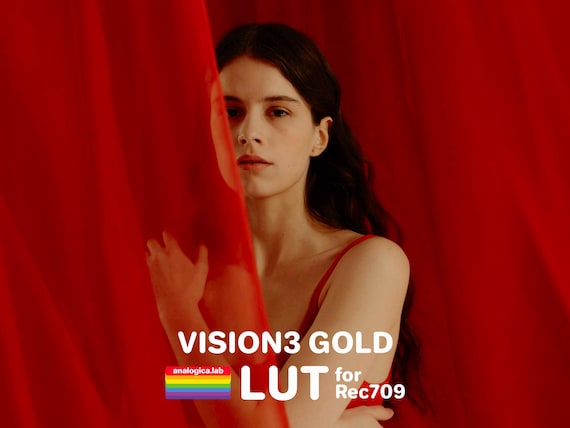 LUT VISION3 GOLD 35MM Film Simulation Professional Color Grading VideoLut PhotoLut filetype: .cube for Rec709 Film Emulation
