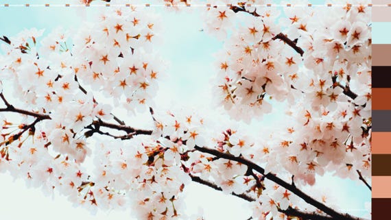 AnalogicaLooks Chrome - LUT for Rec709 - For Professional Filmmaking and Photography